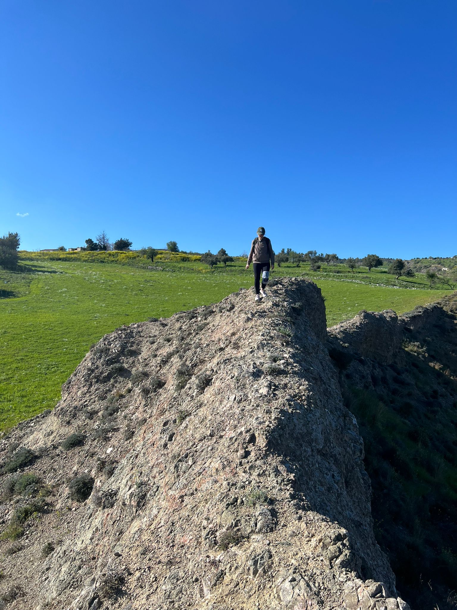 Zdjęcie WhatsApp 2024-03-27 o 19.31.08_52391e1c