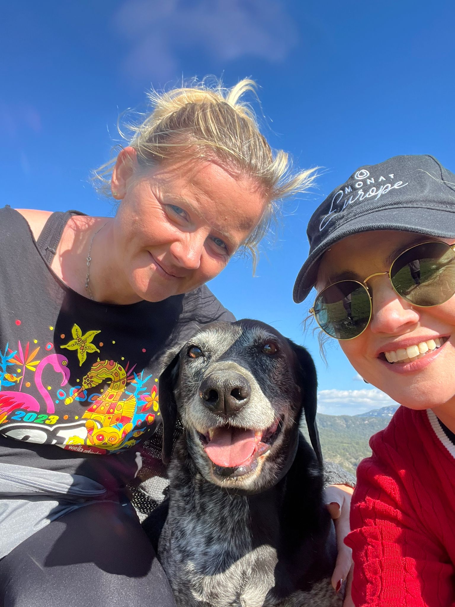 Zdjęcie WhatsApp 2024-03-27 o 19.31.09_dcf6f74c