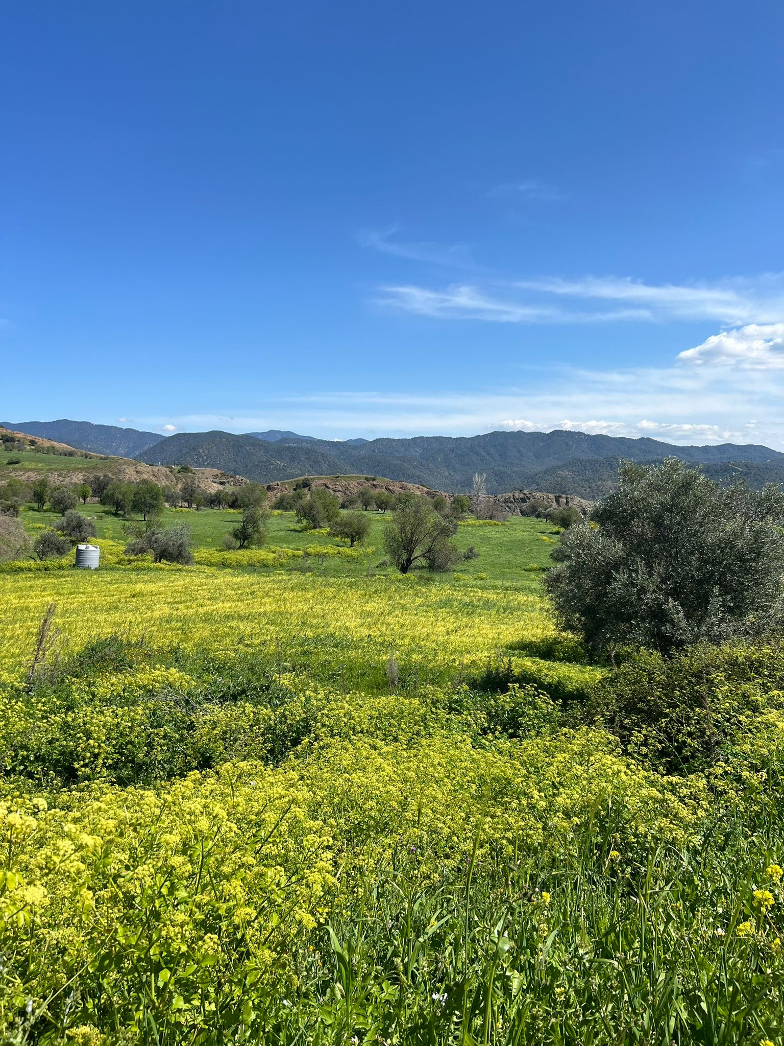 Zdjęcie WhatsApp 2024-03-27 o 19.31.10_e64c4af9