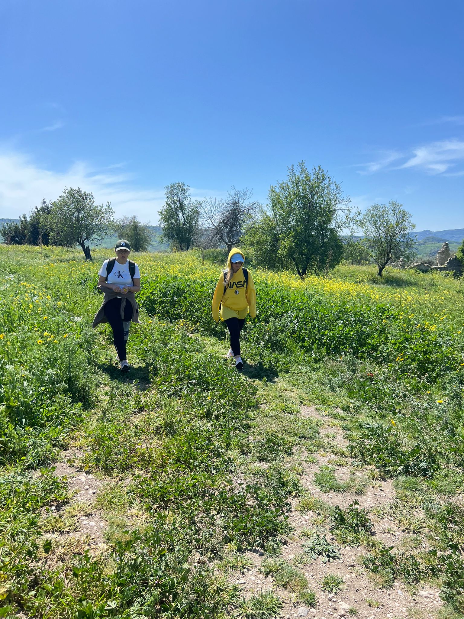 Zdjęcie WhatsApp 2024-03-27 o 19.31.11_24c6d830