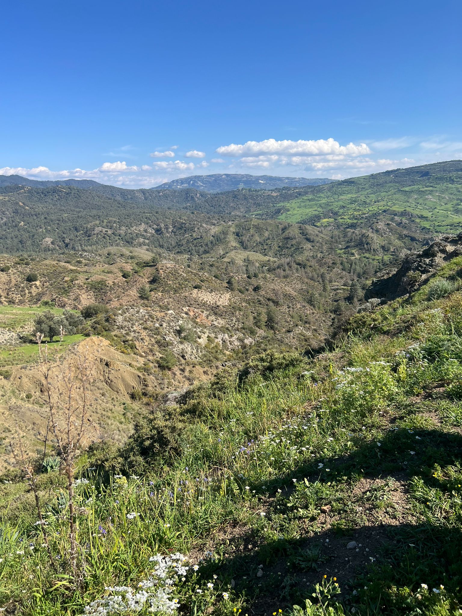 Zdjęcie WhatsApp 2024-03-27 o 19.31.12_4a3e770d