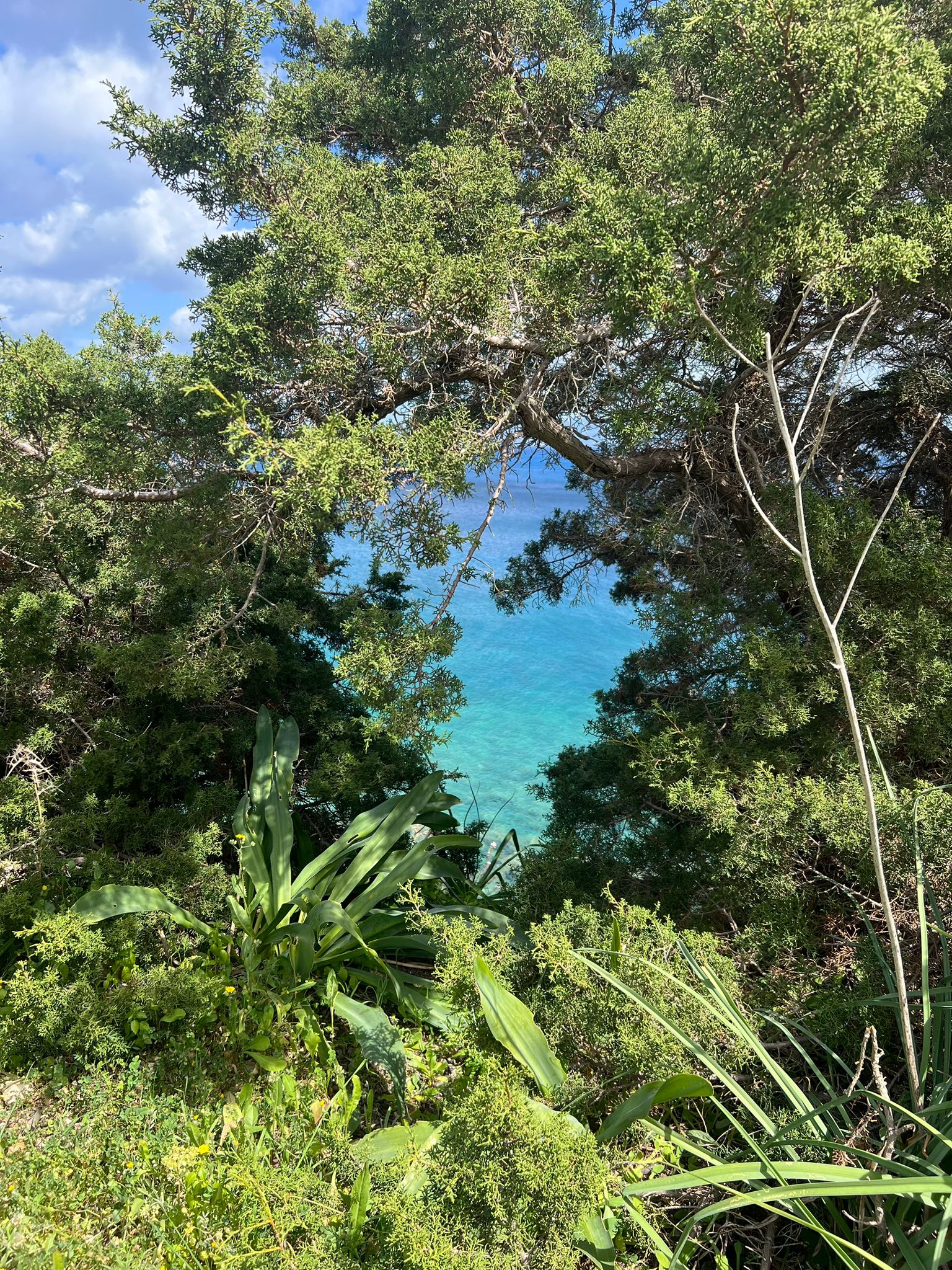 Zdjęcie WhatsApp 2024-03-27 o 19.39.54_0a1f388b