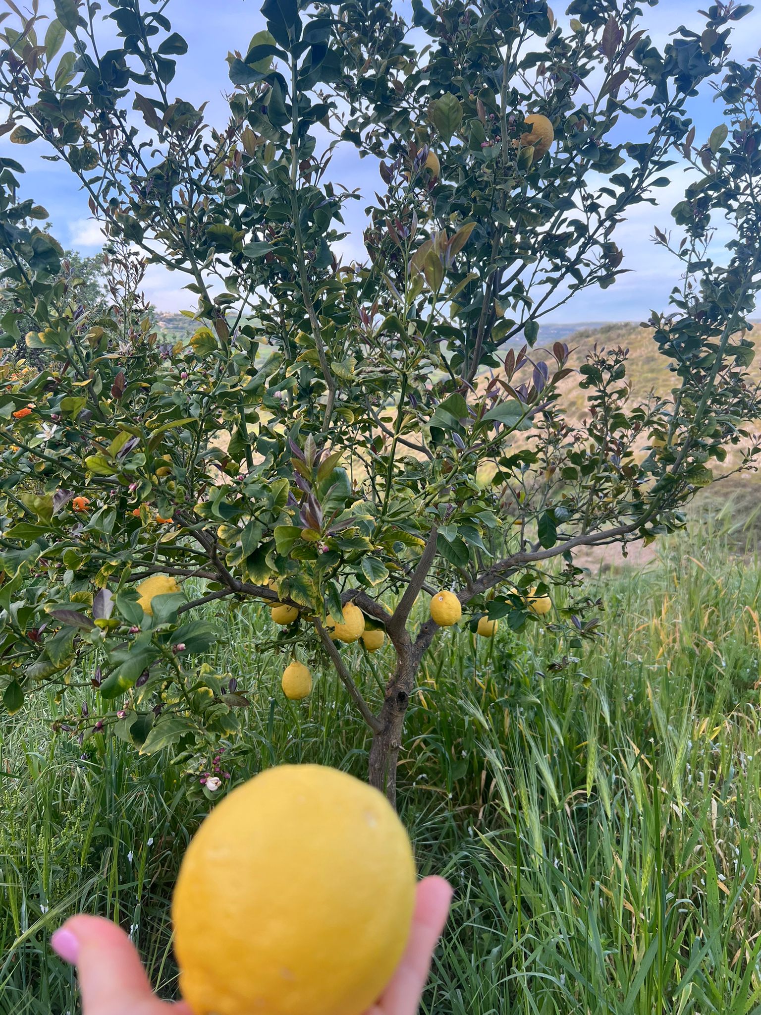 Zdjęcie WhatsApp 2024-03-27 o 19.39.55_54661522