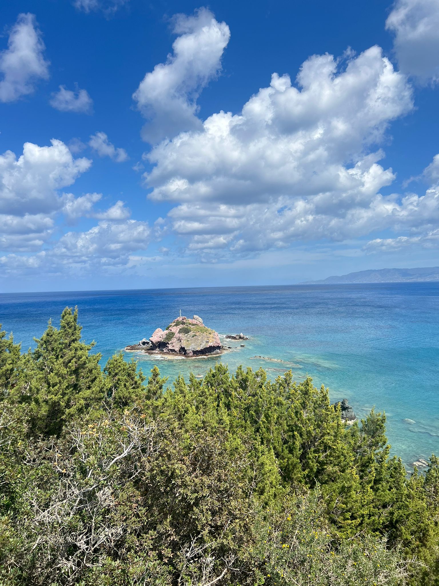 Zdjęcie WhatsApp 2024-03-27 o 19.39.55_ea4292ed