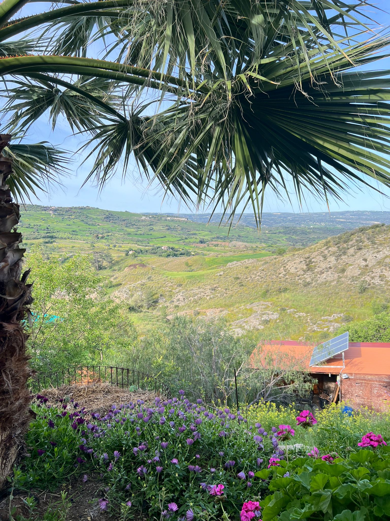 Zdjęcie WhatsApp 2024-03-27 o 19.39.57_26574f33