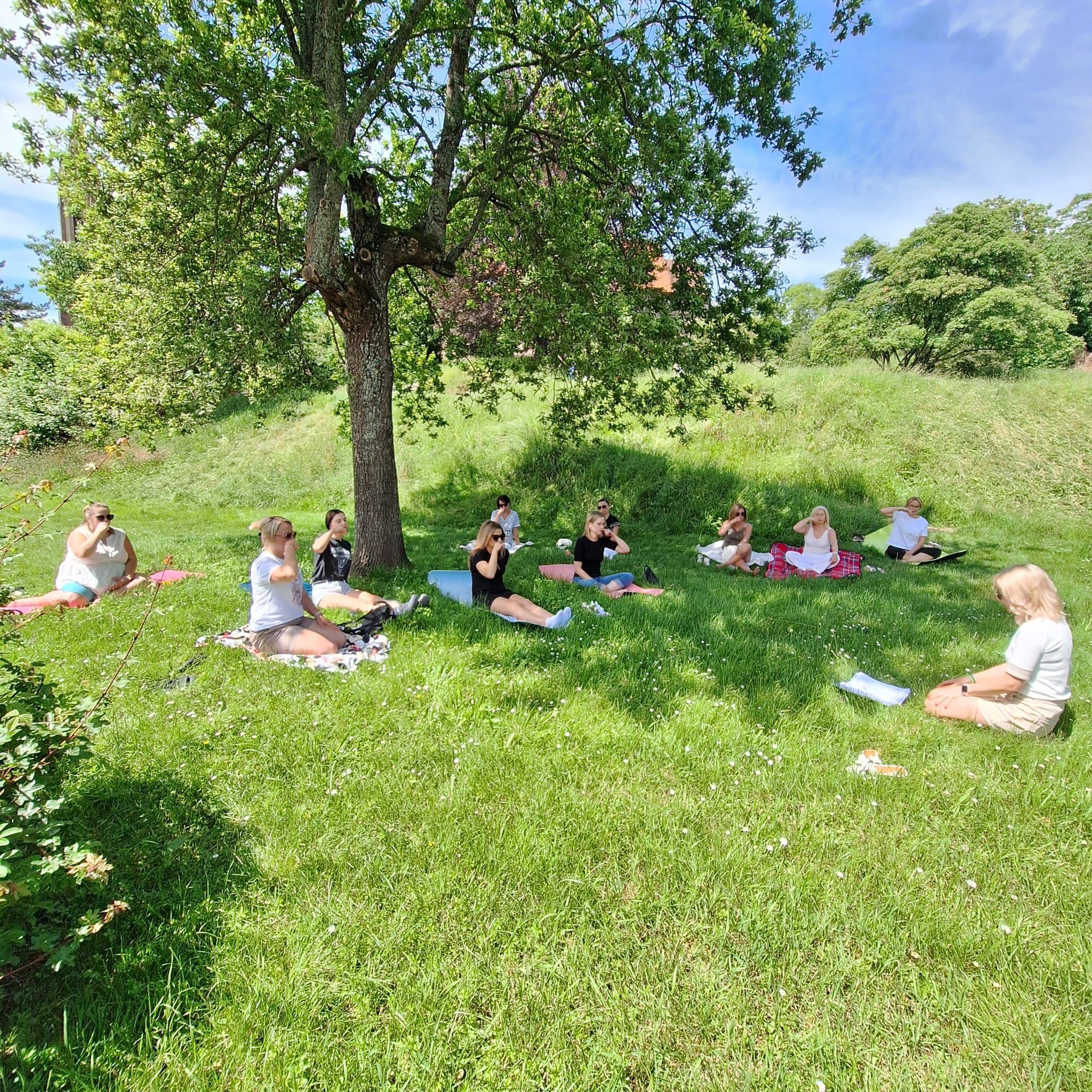 Zdjęcie WhatsApp 2024-06-16 o 13.57.34_6a2d2f0b